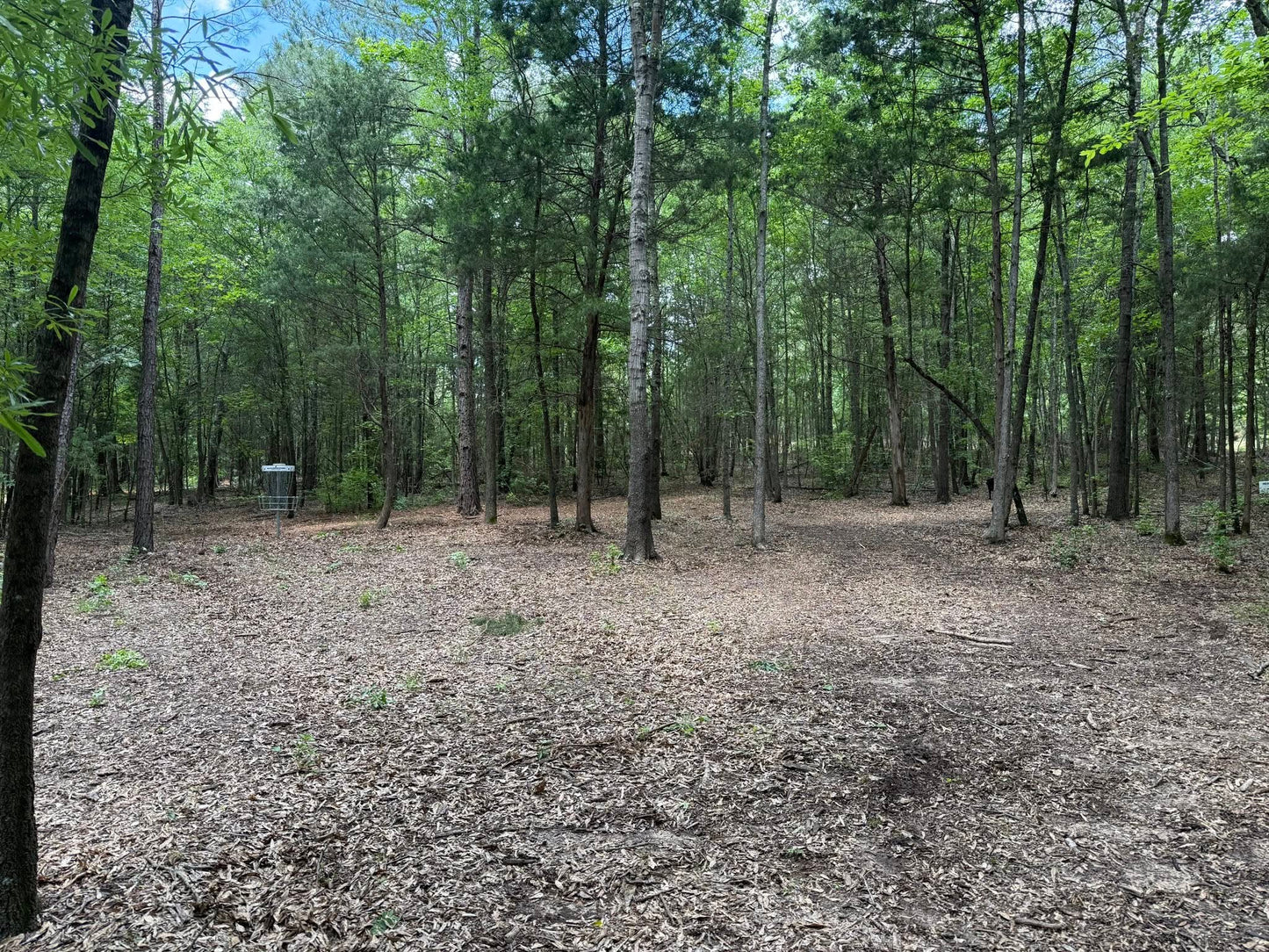 One round of 20 holes of Disc Golf