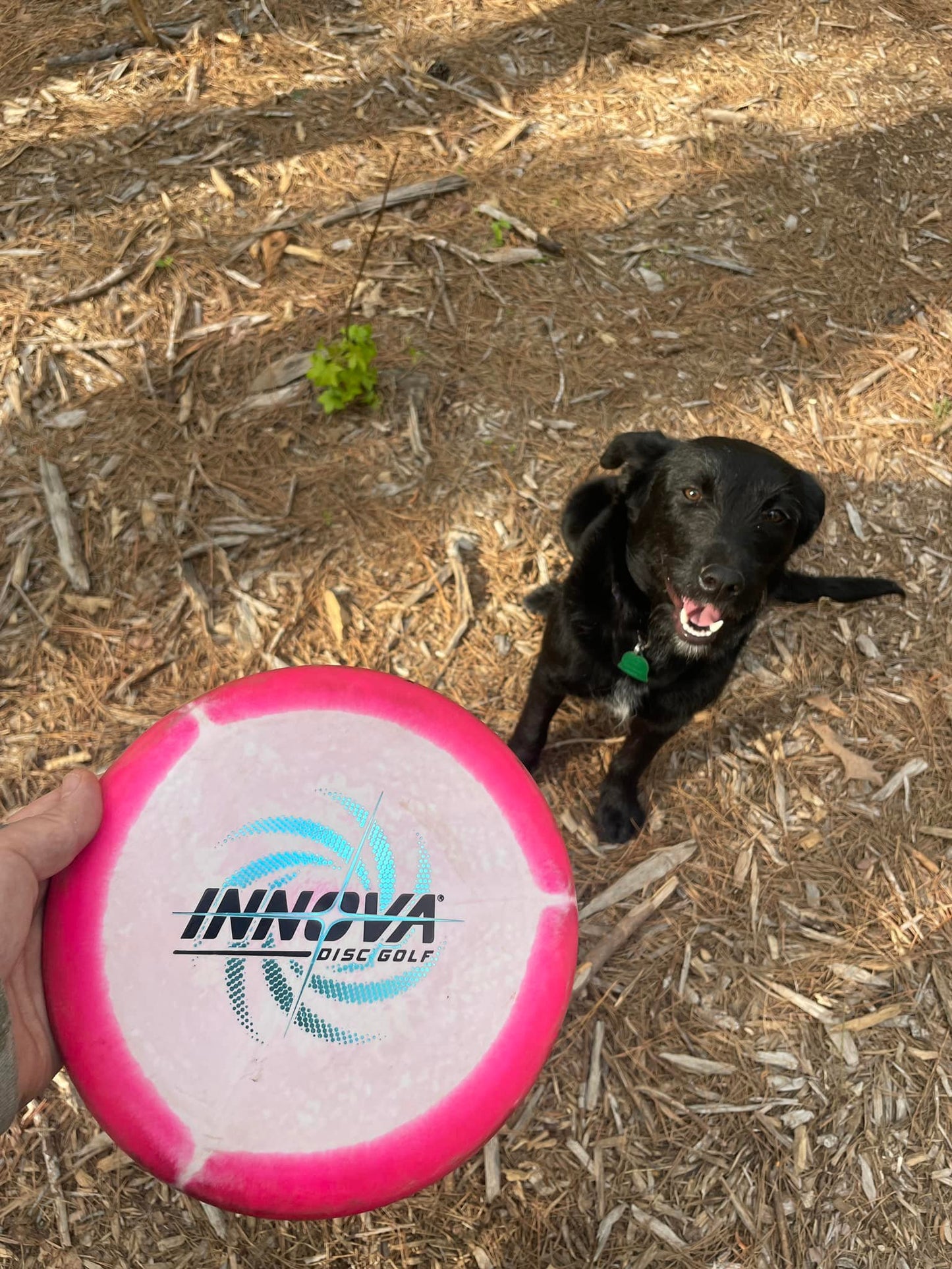 Day Pass for 1 Person