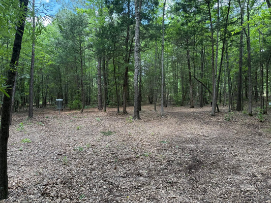 One round of 20 holes of Disc Golf