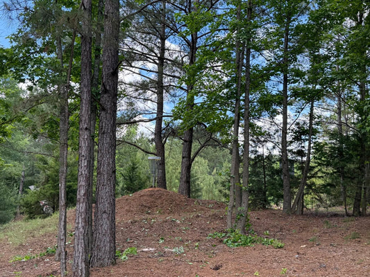 Day Pass for 1 Person