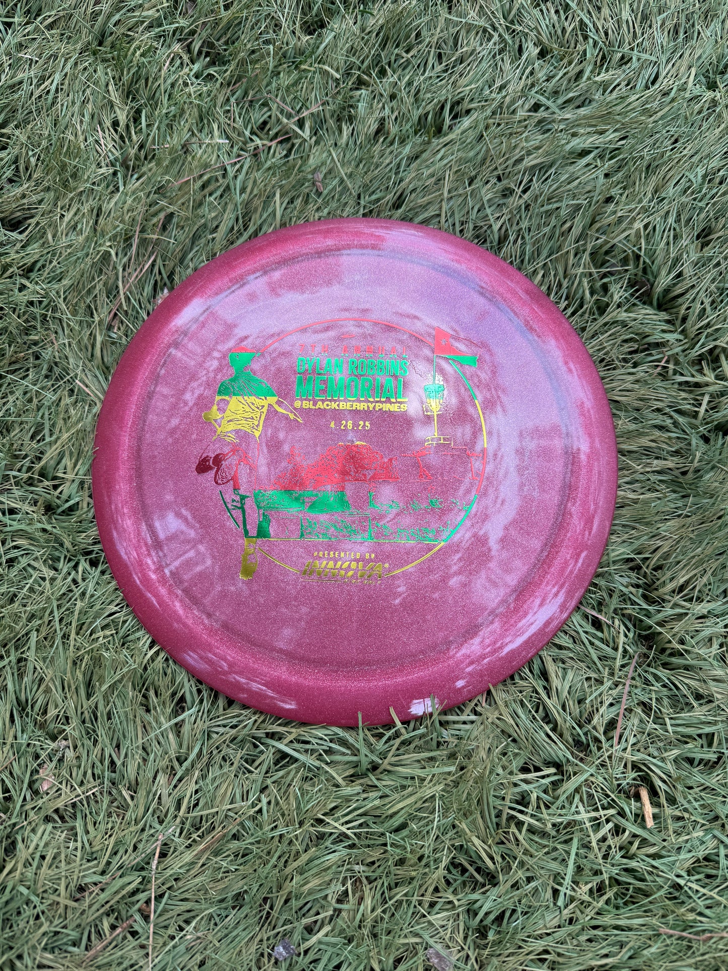 7th Annual Dylan Robbins Memorial Tournament Discs